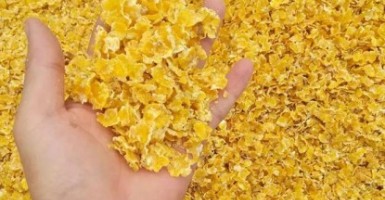 為什么說(shuō)玉米壓片機(jī)是飼料玉米片的核心